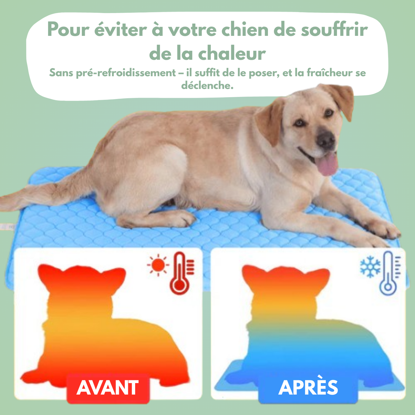Tapis rafraîchissant pour chien & chat