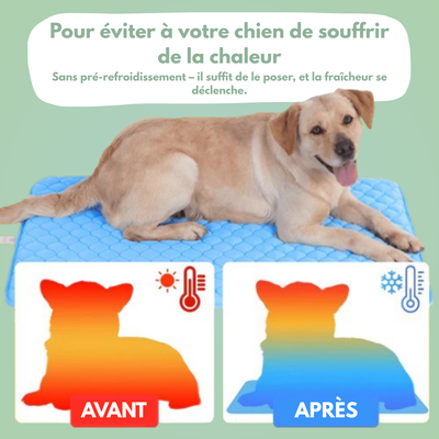 Tapis rafraîchissant pour chien & chat