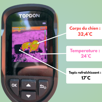 Tapis rafraîchissant pour chien & chat