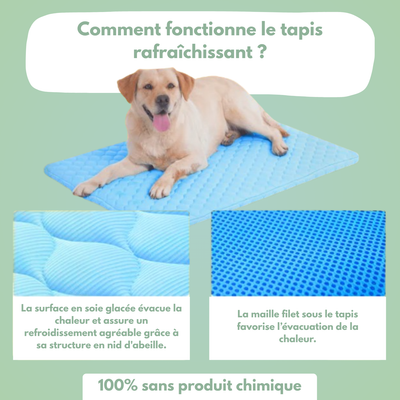 Tapis rafraîchissant pour chien & chat