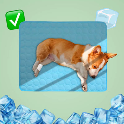 Tapis rafraîchissant pour chien & chat