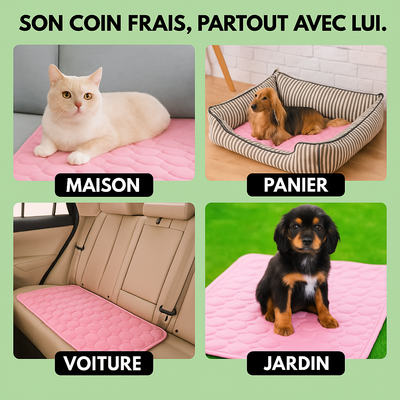 Tapis rafraîchissant pour chien & chat