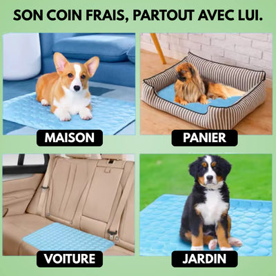Tapis rafraîchissant pour chien & chat