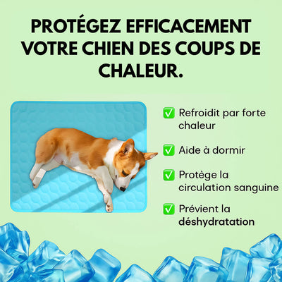 Tapis rafraîchissant pour chien & chat