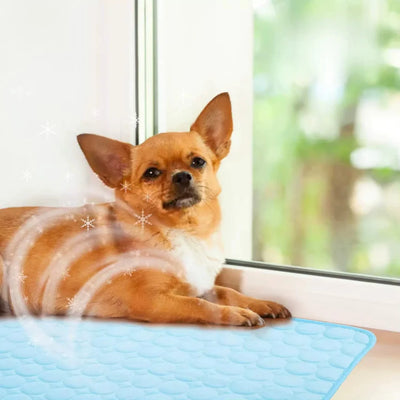Tapis rafraîchissant pour chien & chat