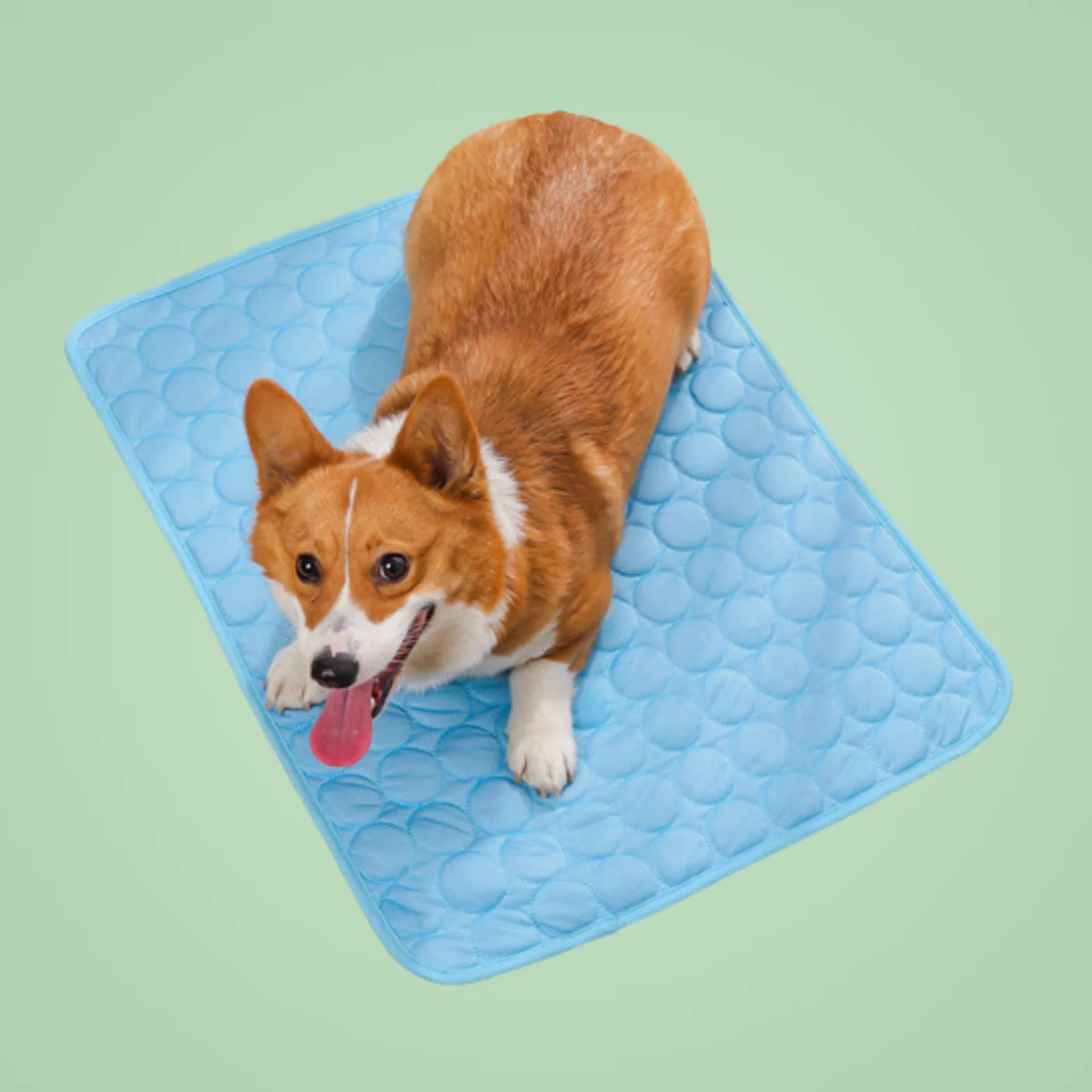 Tapis rafraîchissant pour chien & chat