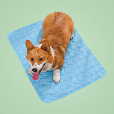 Tapis rafraîchissant pour chien & chat