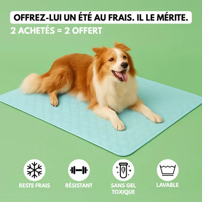 Tapis rafraîchissant pour chien & chat